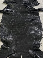 画像4: スモールクロコダイル ブラック 40 ポロサス ワニ革 クロコダイル革  (4)