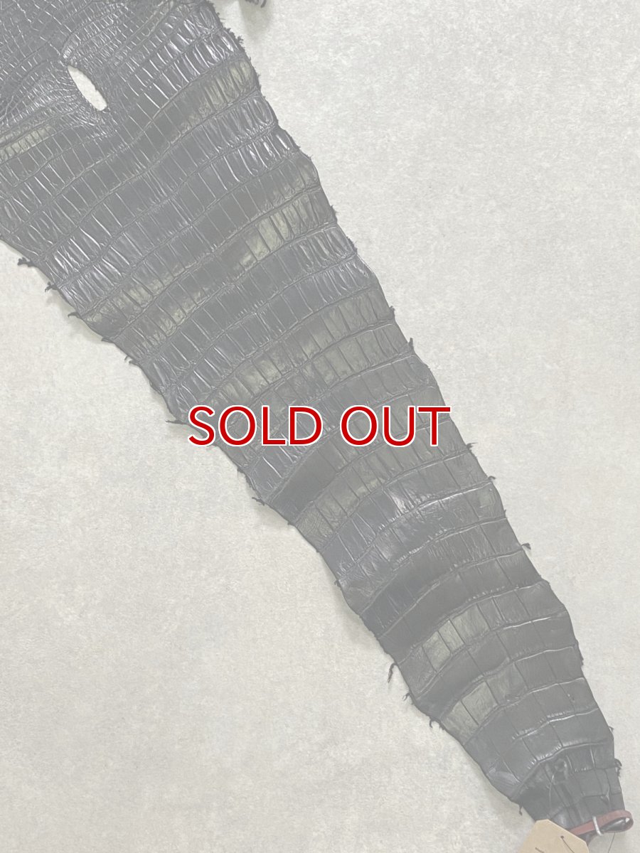 画像7: スモールクロコダイル　ブラック　40　ポロサス　ワニ革　クロコダイル革　 (7)