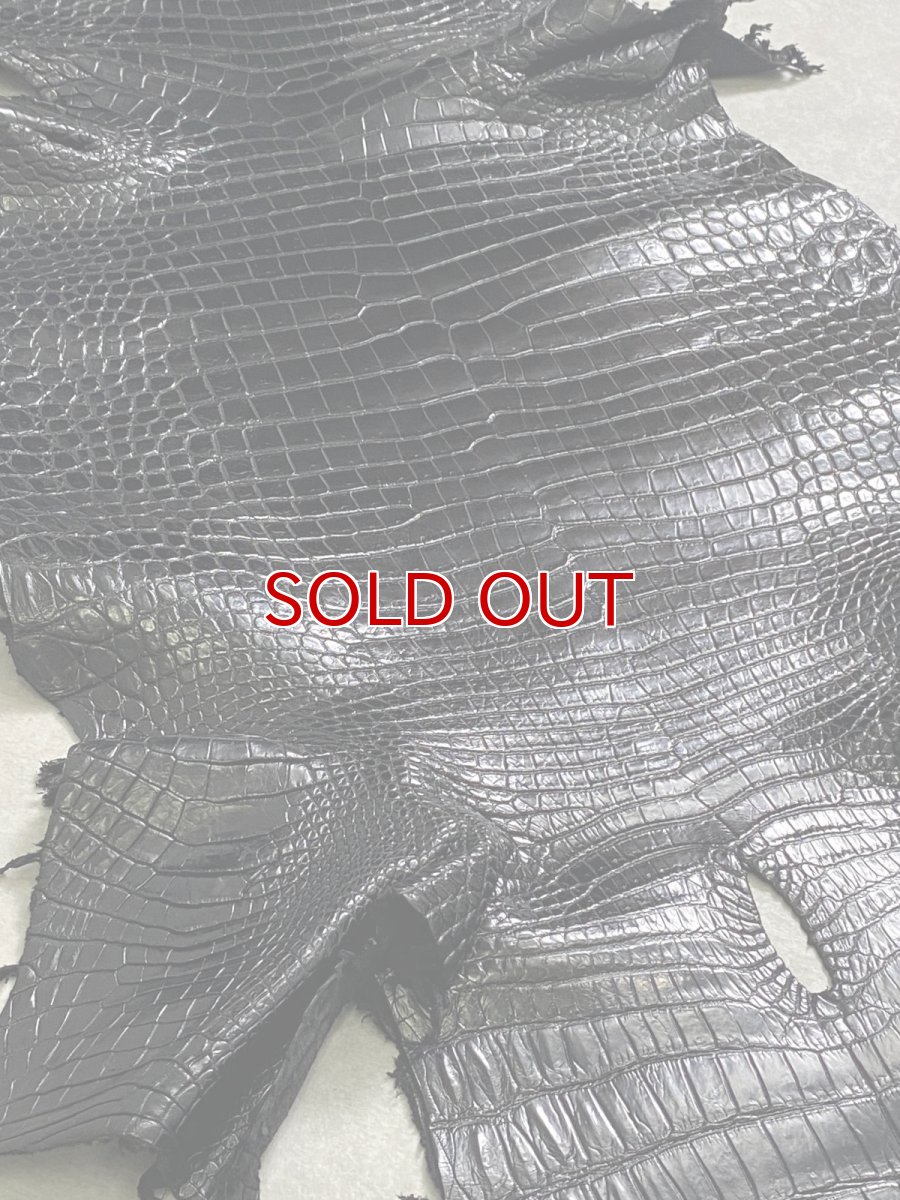 画像2: スモールクロコダイル　ブラック　40　ポロサス　ワニ革　クロコダイル革　 (2)