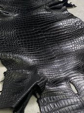 画像2: スモールクロコダイル ブラック 40 ポロサス ワニ革 クロコダイル革  (2)