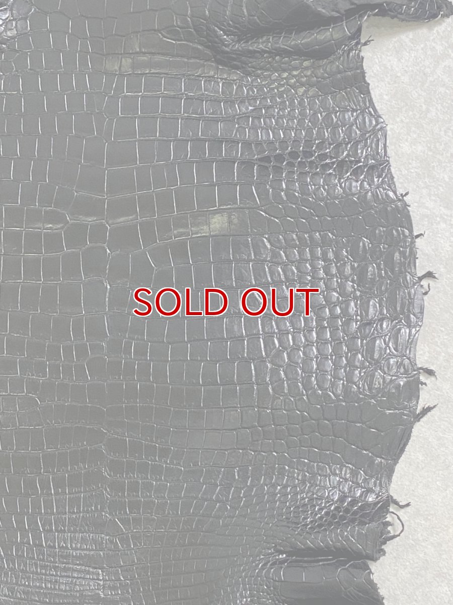 画像6: スモールクロコダイル　ブラック　40　ポロサス　ワニ革　クロコダイル革　 (6)