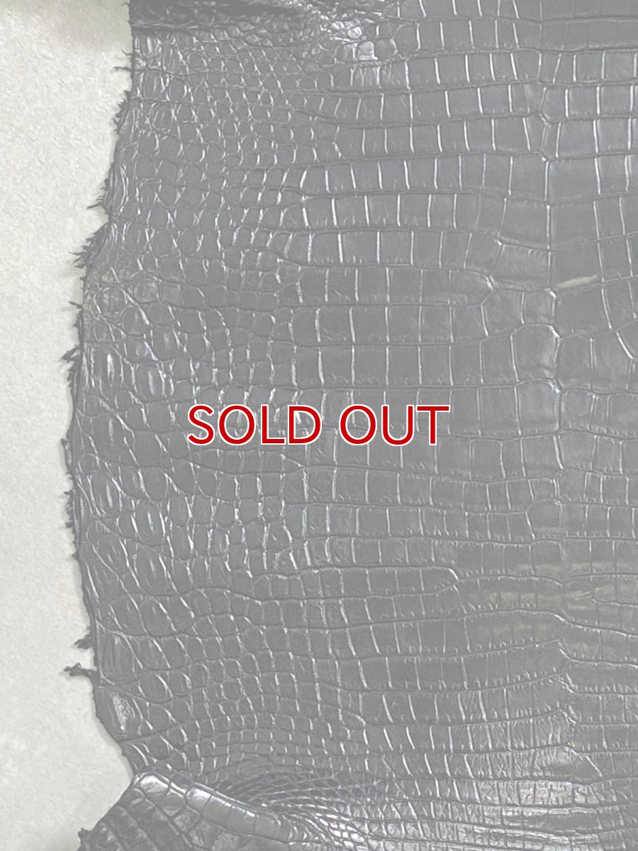 画像5: スモールクロコダイル　ブラック　40　ポロサス　ワニ革　クロコダイル革　 (5)