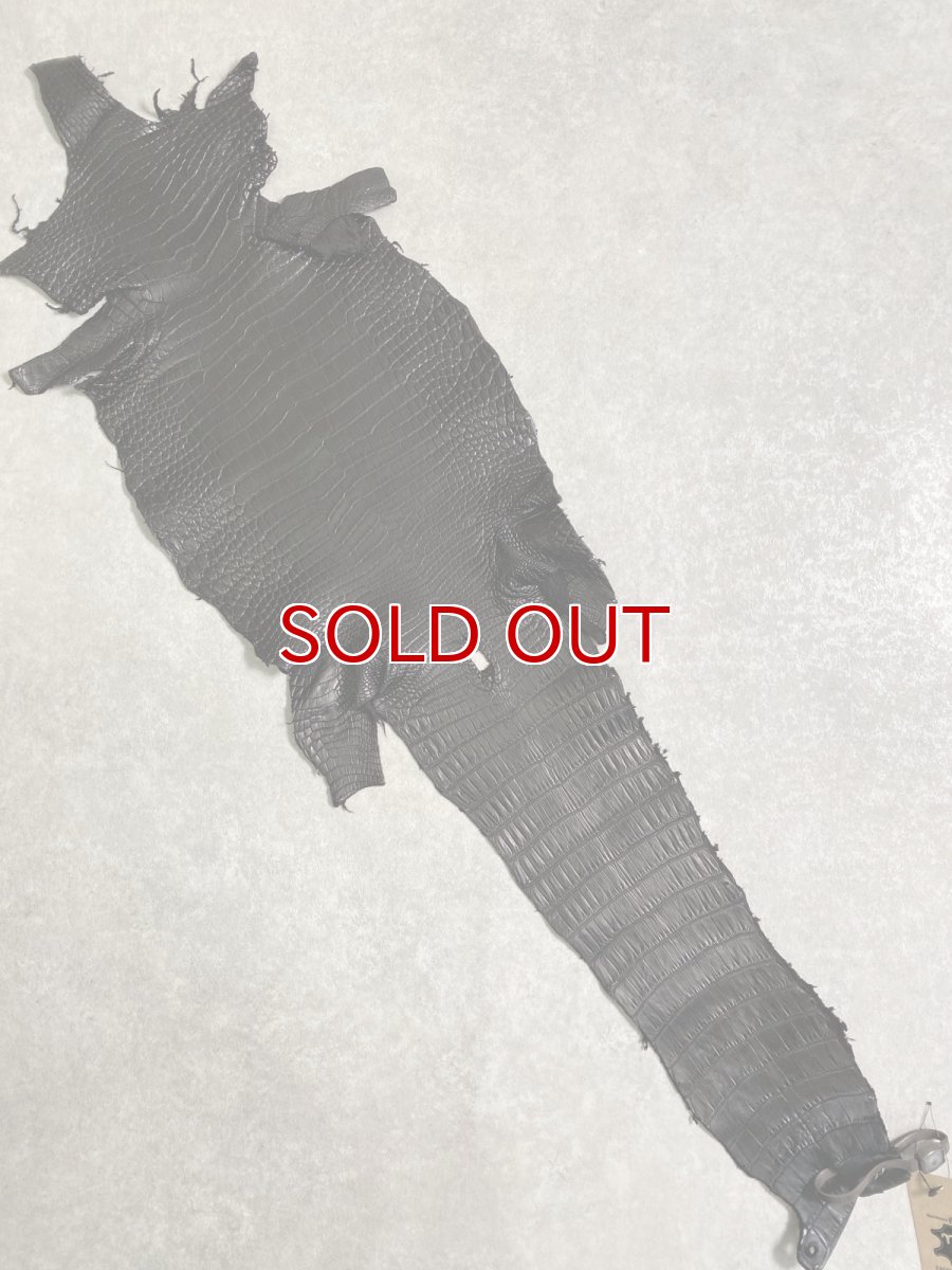 画像1: スモールクロコダイル　ブラック　25　ポロサス　ワニ革　クロコダイル革　 (1)