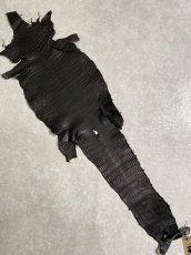 画像1: スモールクロコダイル　ブラック　25　ポロサス　ワニ革　クロコダイル革　 (1)