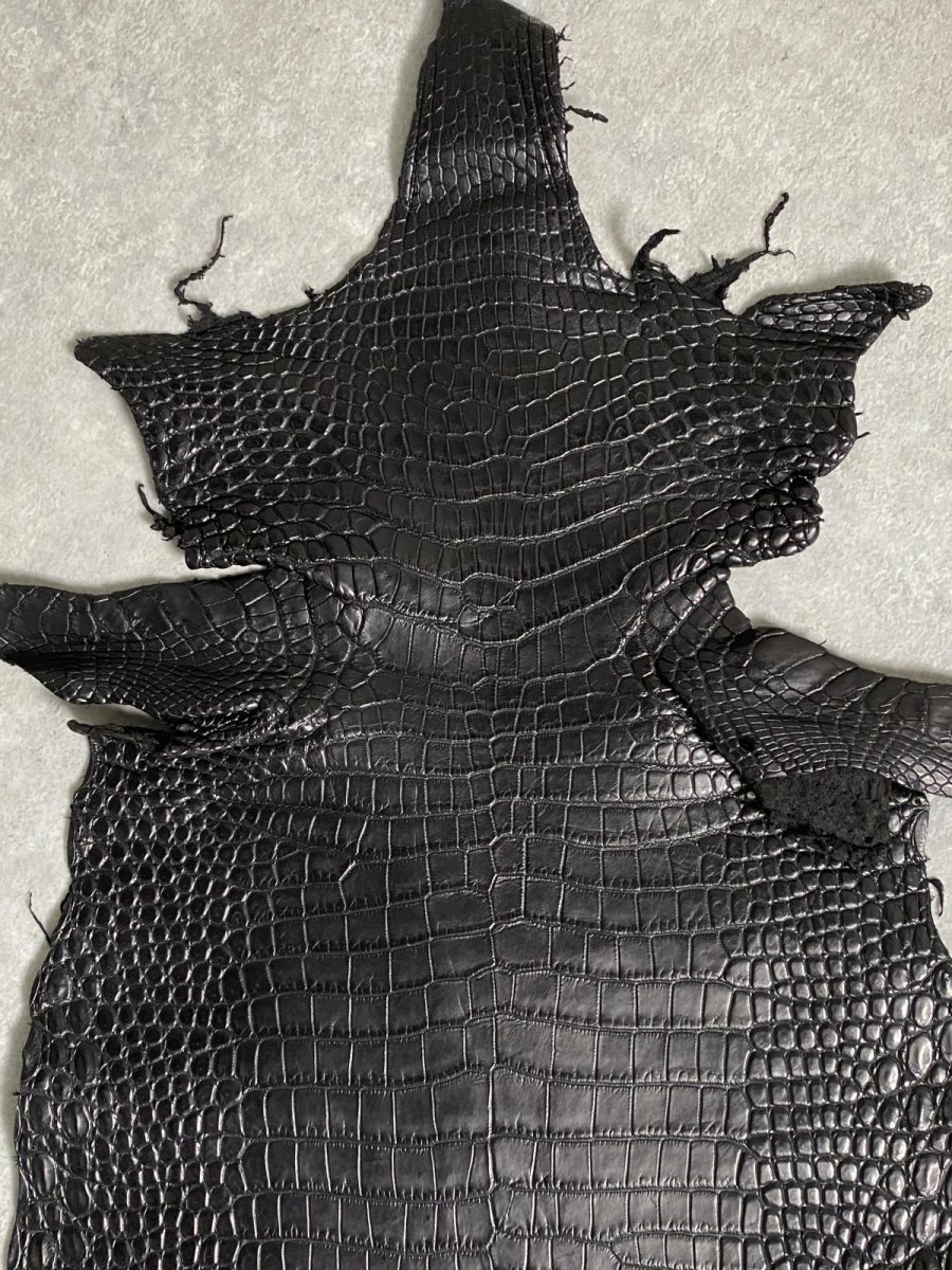 画像4: スモールクロコダイル　ブラック　25　ポロサス　ワニ革　クロコダイル革　 (4)