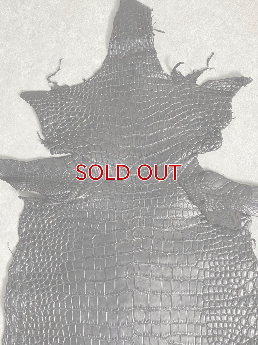 画像4: スモールクロコダイル　ブラック　25　ポロサス　ワニ革　クロコダイル革　 (4)