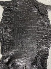 画像5: スモールクロコダイル　ブラック　25　ポロサス　ワニ革　クロコダイル革　 (5)