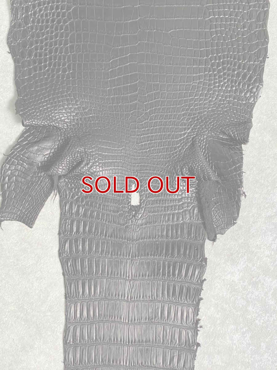 画像6: スモールクロコダイル　ブラック　25　ポロサス　ワニ革　クロコダイル革　 (6)