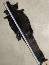 画像8: スモールクロコダイル　ブラック　25　ポロサス　ワニ革　クロコダイル革　 (8)