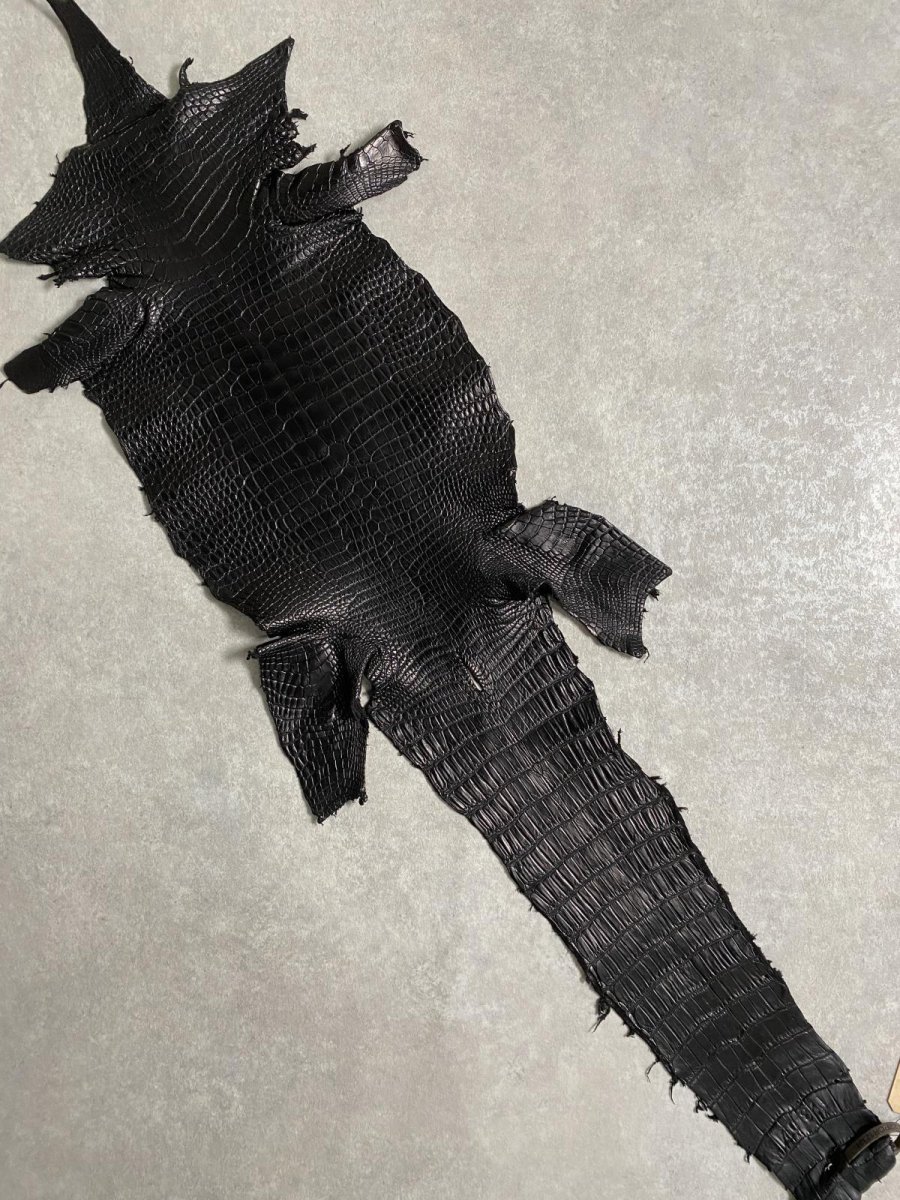 画像1: スモールクロコダイル　ブラック　26　ポロサス　ワニ革　クロコダイル革　 (1)