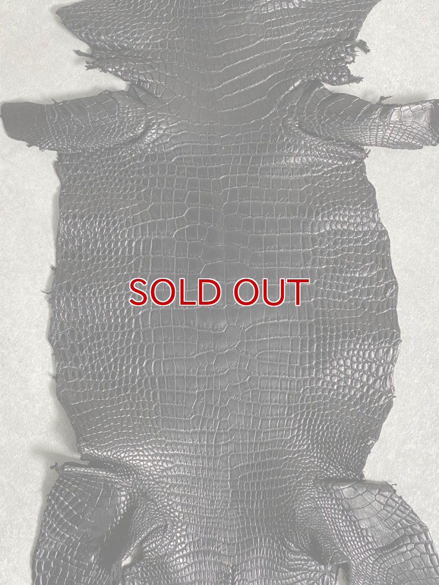 画像4: スモールクロコダイル　ブラック　26　ポロサス　ワニ革　クロコダイル革　 (4)