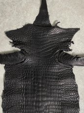 画像3: スモールクロコダイル　ブラック　26　ポロサス　ワニ革　クロコダイル革　 (3)