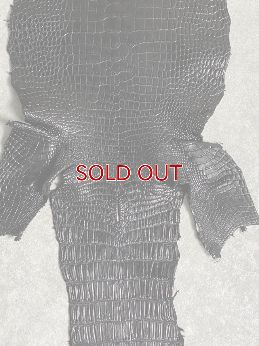 画像5: スモールクロコダイル　ブラック　26　ポロサス　ワニ革　クロコダイル革　 (5)