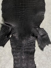画像5: スモールクロコダイル　ブラック　26　ポロサス　ワニ革　クロコダイル革　 (5)