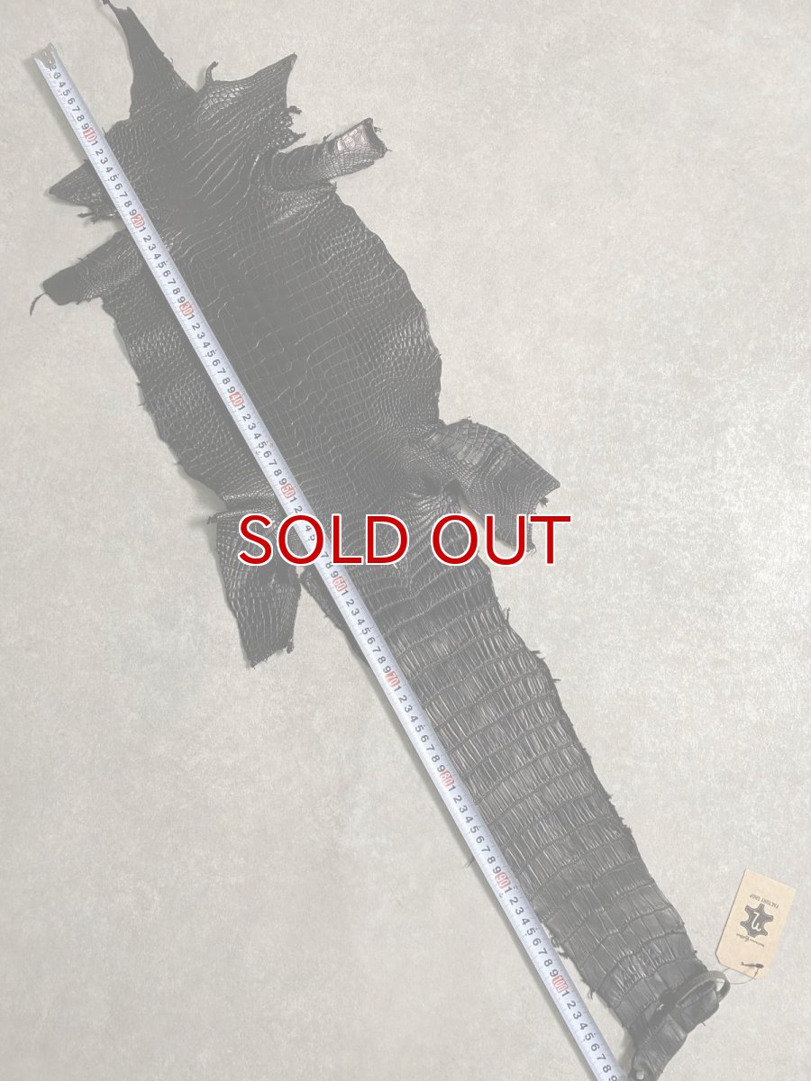 画像7: スモールクロコダイル　ブラック　26　ポロサス　ワニ革　クロコダイル革　 (7)