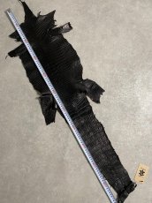 画像7: スモールクロコダイル　ブラック　26　ポロサス　ワニ革　クロコダイル革　 (7)