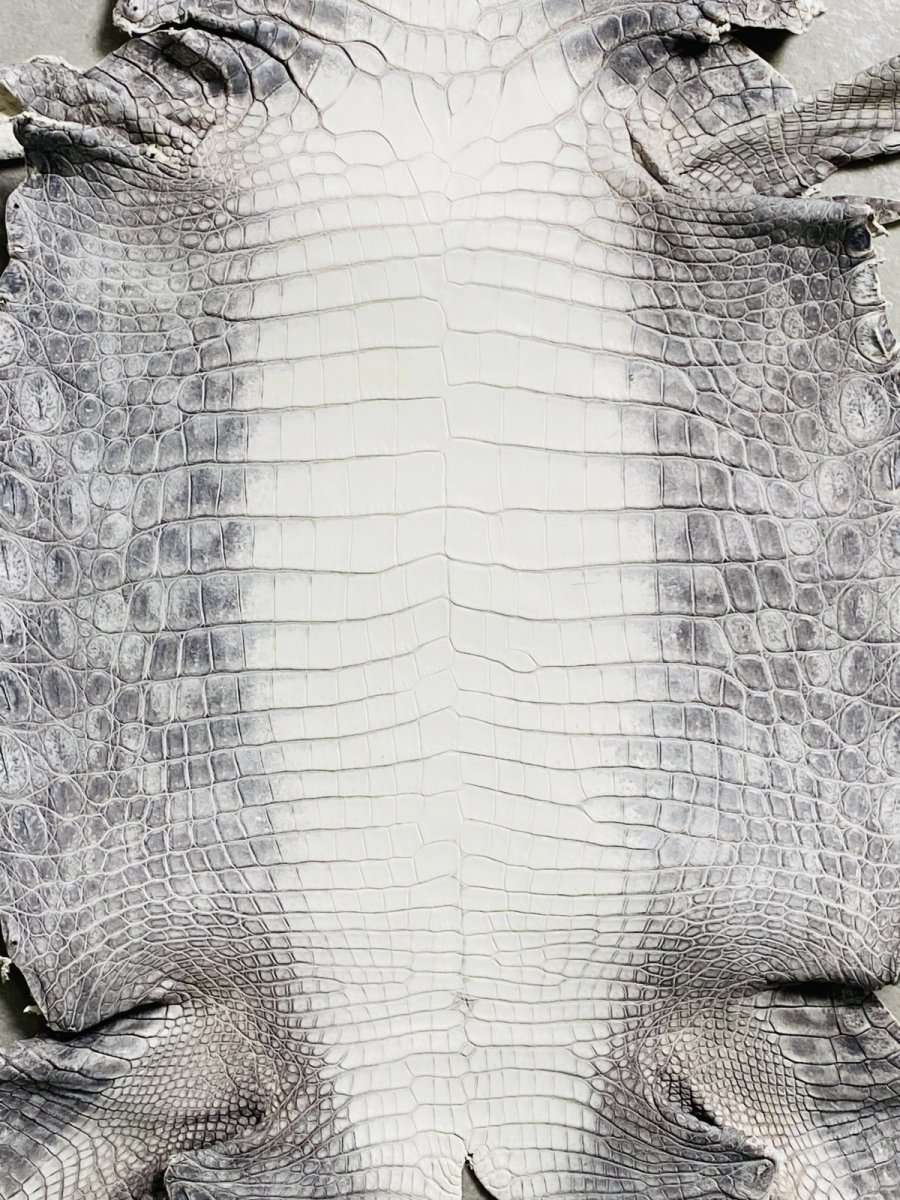 画像3: ヒマラヤクロコダイル　ナチュラル　30　ワニ革　ナイルクロコダイル　クロコダイル革　エキゾチックレザー (3)