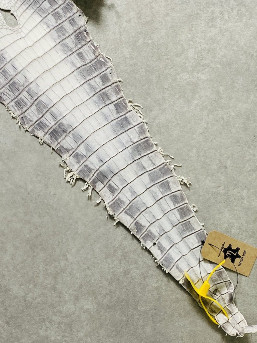 画像4: ヒマラヤクロコダイル　ナチュラル　30　ワニ革　ナイルクロコダイル　クロコダイル革　エキゾチックレザー (4)