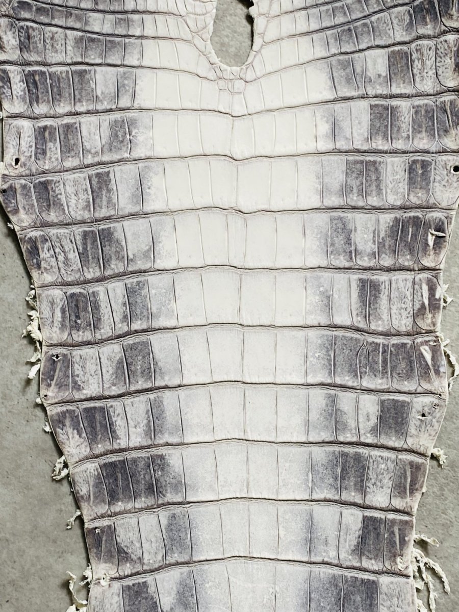画像7: ヒマラヤクロコダイル　ナチュラル　30　ワニ革　ナイルクロコダイル　クロコダイル革　エキゾチックレザー (7)