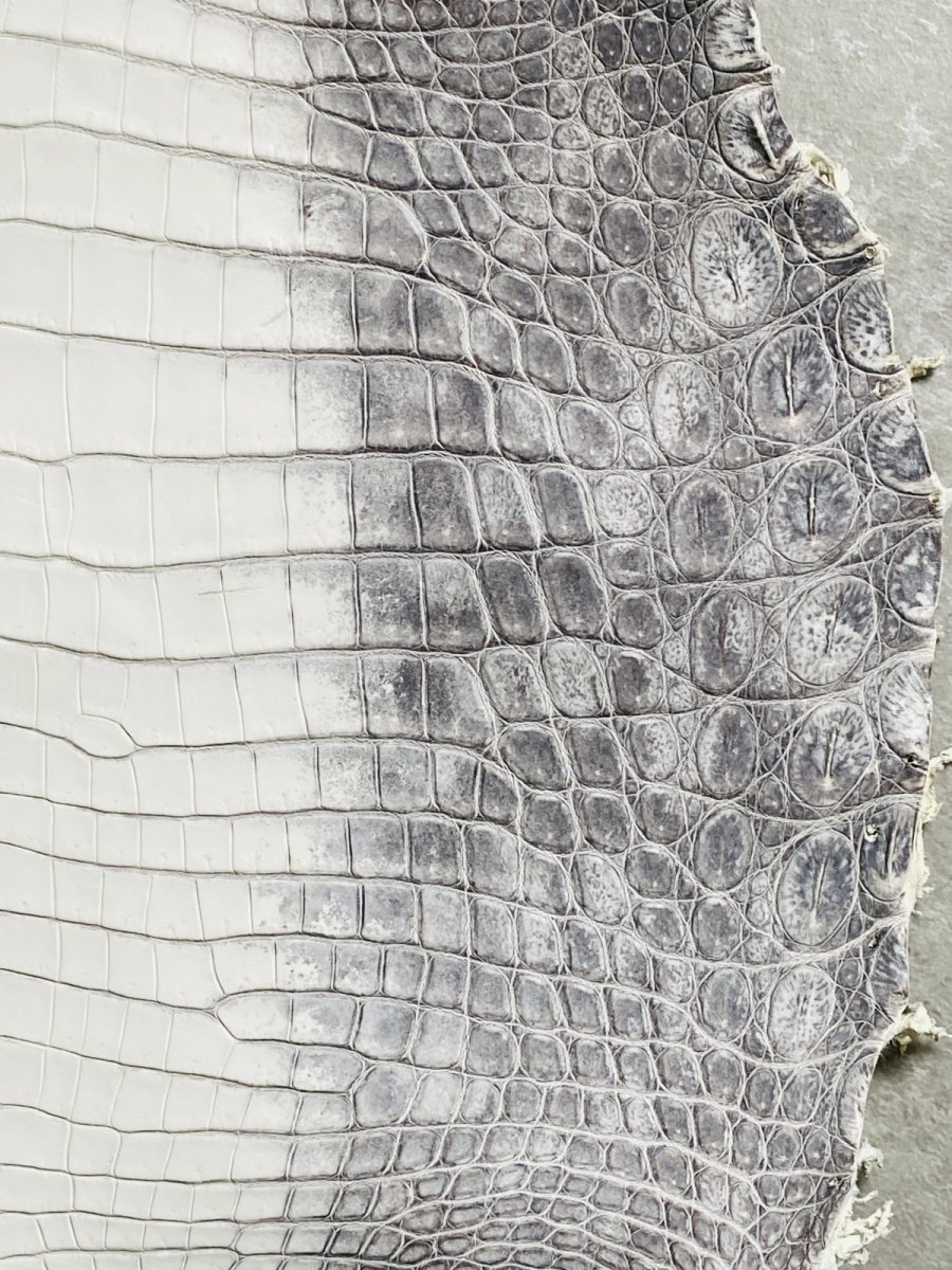 画像6: ヒマラヤクロコダイル　ナチュラル　30　ワニ革　ナイルクロコダイル　クロコダイル革　エキゾチックレザー (6)