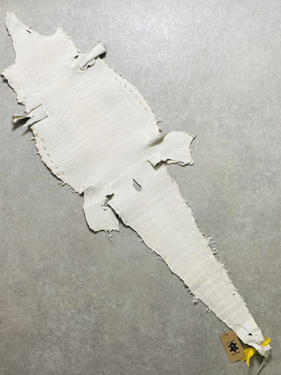 画像9: ヒマラヤクロコダイル　ナチュラル　30　ワニ革　ナイルクロコダイル　クロコダイル革　エキゾチックレザー (9)