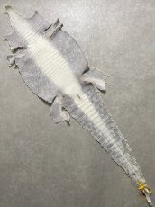 画像1: ヒマラヤクロコダイル　ナチュラル　35　ワニ革　ナイルクロコダイル　クロコダイル革　エキゾチックレザー (1)