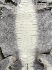 画像3: ヒマラヤクロコダイル　ナチュラル　35　ワニ革　ナイルクロコダイル　クロコダイル革　エキゾチックレザー (3)
