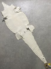 画像9: ヒマラヤクロコダイル　ナチュラル　35　ワニ革　ナイルクロコダイル　クロコダイル革　エキゾチックレザー (9)