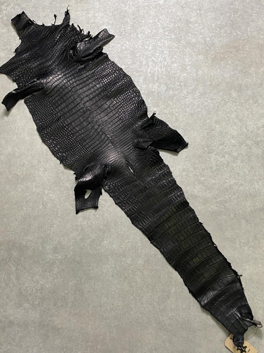 画像1: スモールクロコダイル　ブラック　29　ポロサス　ワニ革　クロコダイル革　 (1)