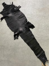 画像1: スモールクロコダイル　ブラック　29　ポロサス　ワニ革　クロコダイル革　 (1)
