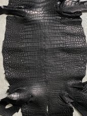 画像3: スモールクロコダイル　ブラック　29　ポロサス　ワニ革　クロコダイル革　 (3)