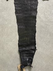 画像6: スモールクロコダイル　ブラック　29　ポロサス　ワニ革　クロコダイル革　 (6)