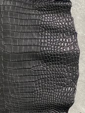 画像5: スモールクロコダイル　ブラック　29　ポロサス　ワニ革　クロコダイル革　 (5)