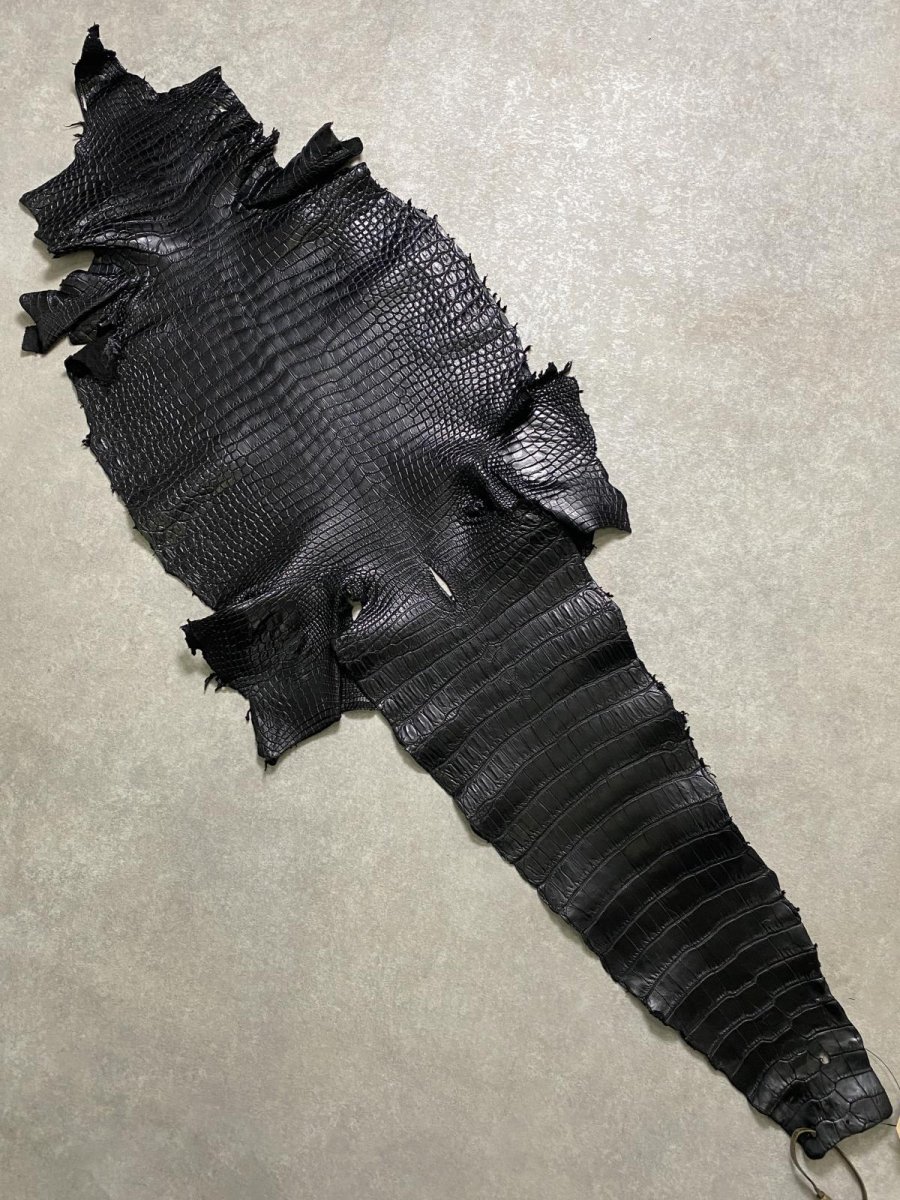 画像1: スモールクロコダイル　ブラック　41　ポロサス　ワニ革　クロコダイル革　 (1)