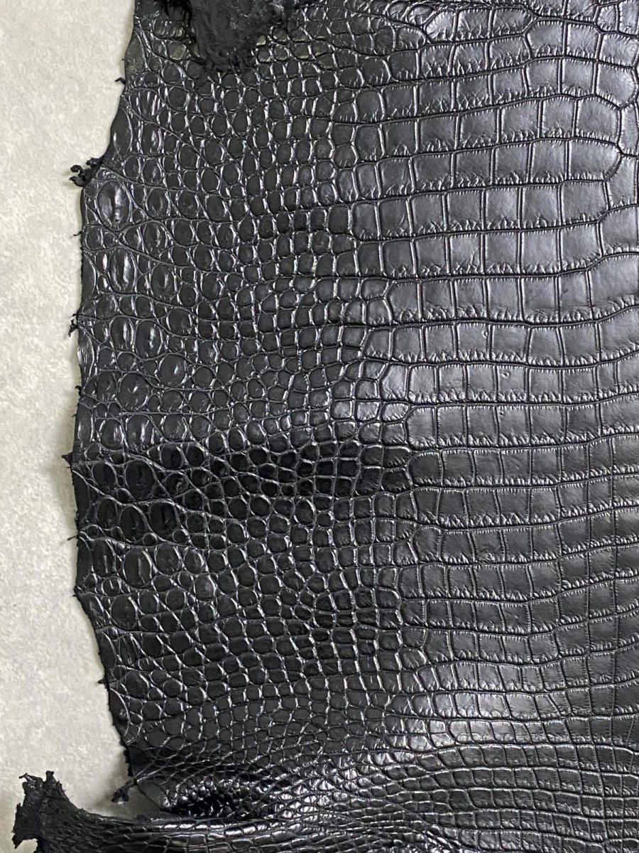 画像4: スモールクロコダイル　ブラック　41　ポロサス　ワニ革　クロコダイル革　 (4)