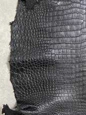 画像4: スモールクロコダイル　ブラック　41　ポロサス　ワニ革　クロコダイル革　 (4)