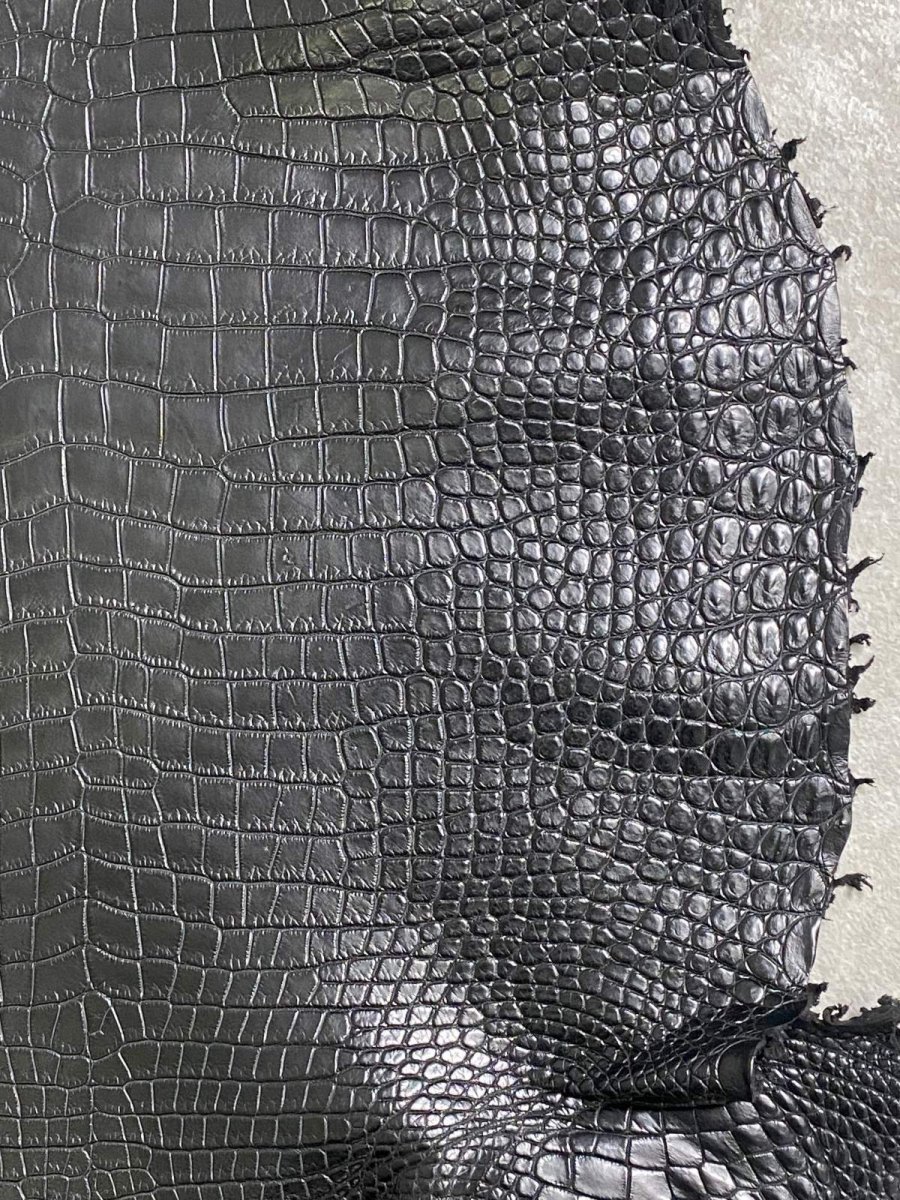 画像5: スモールクロコダイル　ブラック　41　ポロサス　ワニ革　クロコダイル革　 (5)