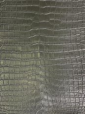 画像8: スモールクロコダイル　ブラック　37　ポロサス　ワニ革　クロコダイル革　 (8)