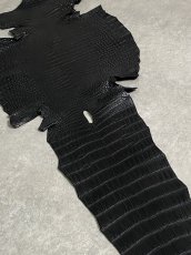画像7: スモールクロコダイル　ブラック　37　ポロサス　ワニ革　クロコダイル革　 (7)
