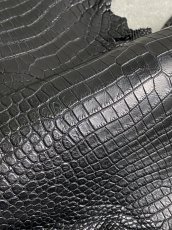 画像9: スモールクロコダイル　ブラック　37　ポロサス　ワニ革　クロコダイル革　 (9)