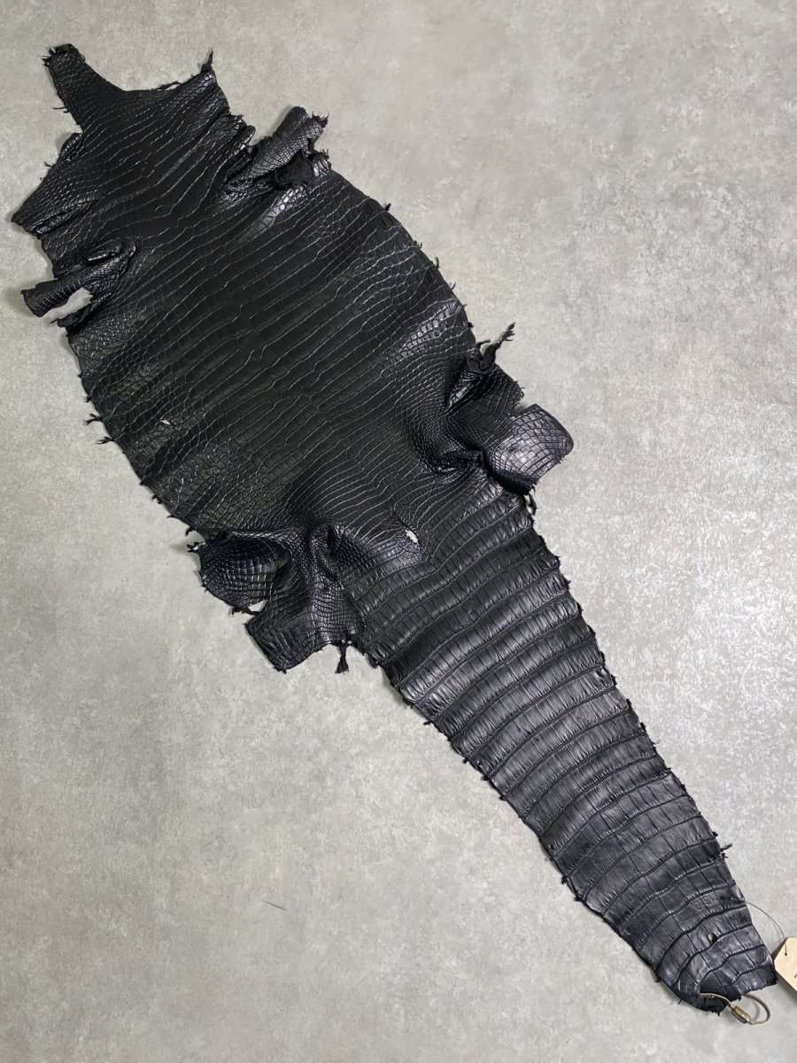 画像1: スモールクロコダイル　ブラック　42　ポロサス　ワニ革　クロコダイル革　 (1)