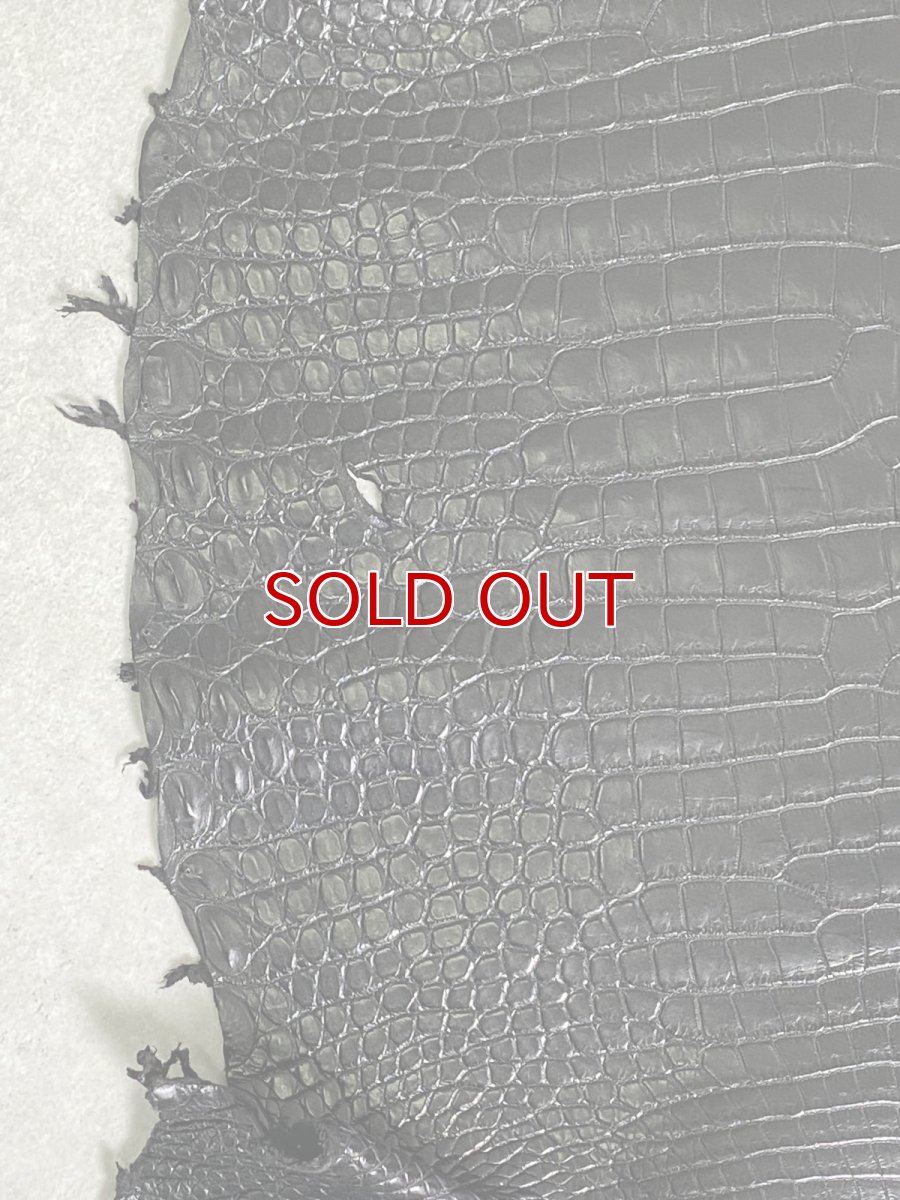 画像3: スモールクロコダイル　ブラック　42　ポロサス　ワニ革　クロコダイル革　 (3)