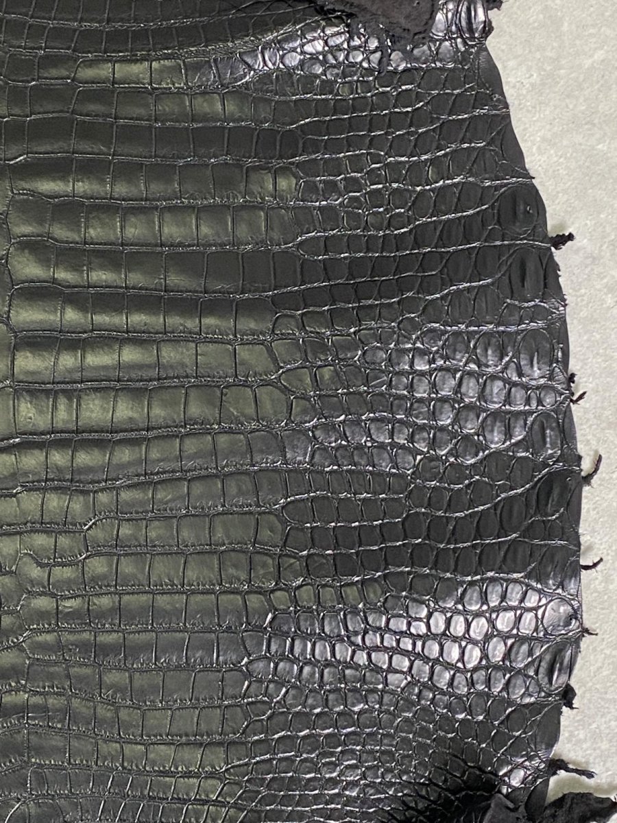 画像4: スモールクロコダイル　ブラック　42　ポロサス　ワニ革　クロコダイル革　 (4)