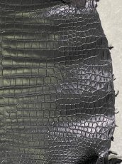 画像4: スモールクロコダイル　ブラック　42　ポロサス　ワニ革　クロコダイル革　 (4)