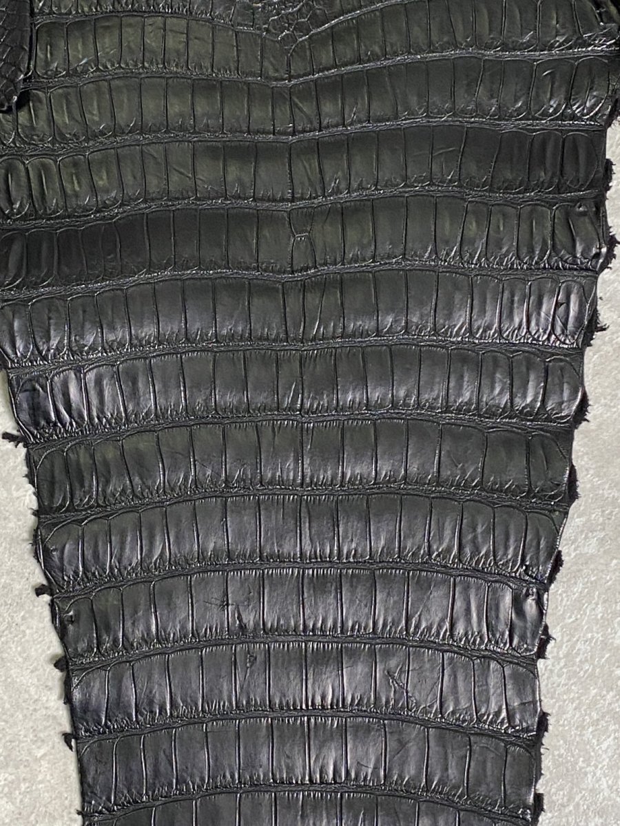 画像5: スモールクロコダイル　ブラック　42　ポロサス　ワニ革　クロコダイル革　 (5)