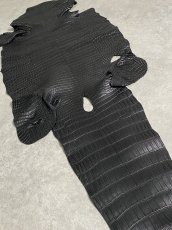 画像7: スモールクロコダイル　ブラック　42　ポロサス　ワニ革　クロコダイル革　 (7)