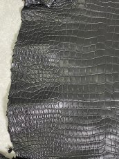 画像4: スモールクロコダイル　ブラック　41　ポロサス　ワニ革　クロコダイル革　 (4)