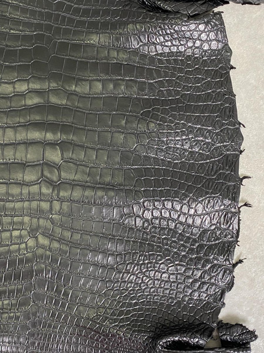 画像5: スモールクロコダイル　ブラック　41　ポロサス　ワニ革　クロコダイル革　 (5)