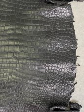 画像5: スモールクロコダイル　ブラック　41　ポロサス　ワニ革　クロコダイル革　 (5)