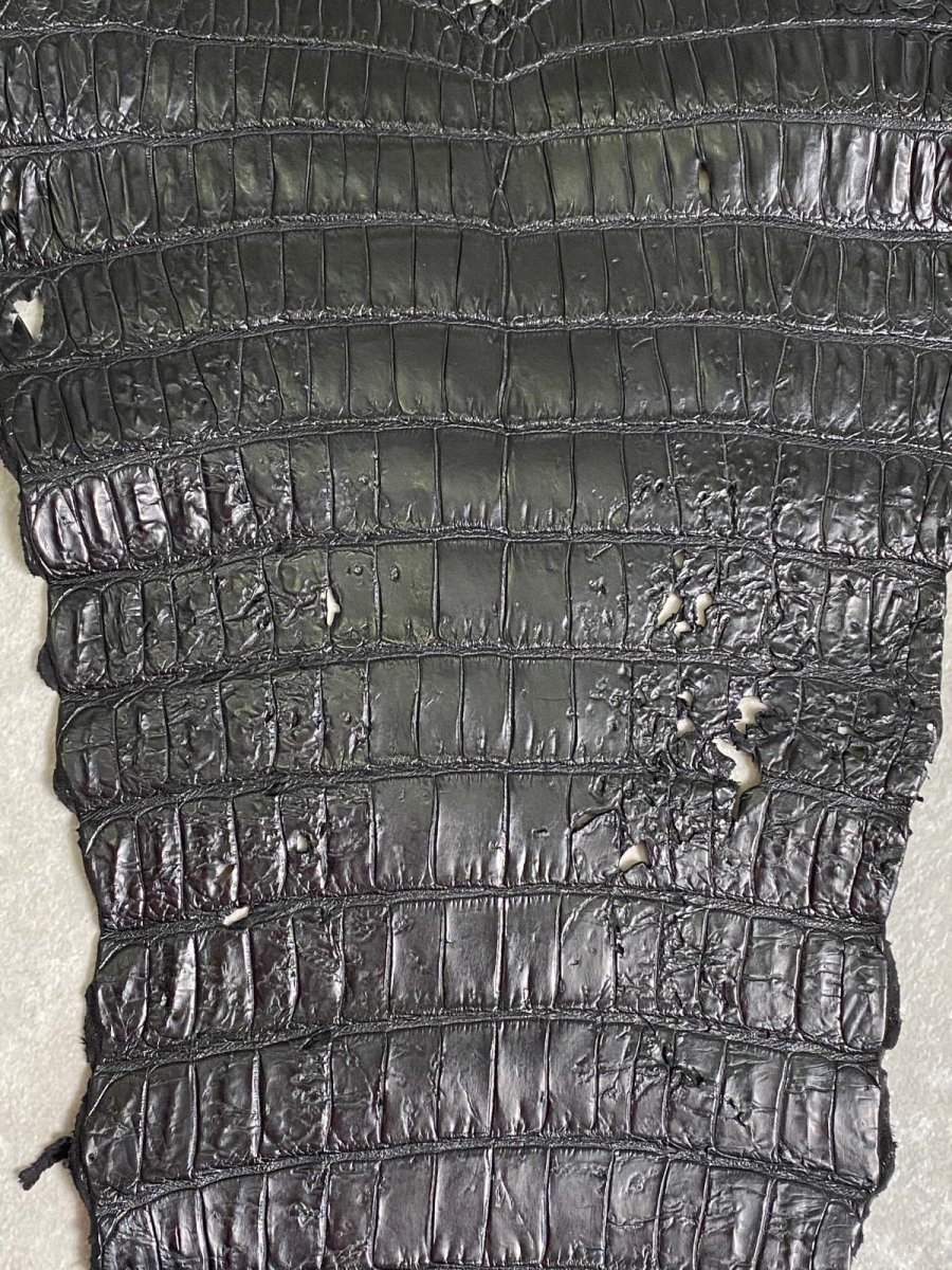 画像7: スモールクロコダイル　ブラック　41　ポロサス　ワニ革　クロコダイル革　 (7)